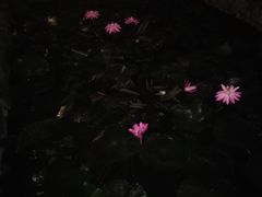 -福建师范大学(仓山校区)