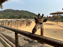 -杭州野生动物世界