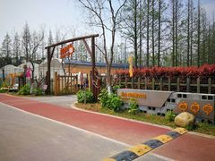 -上海长兴岛郊野公园