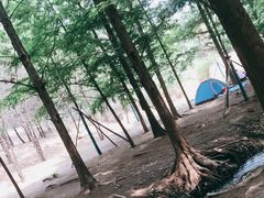 -白水寺森林公园