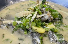 Turbot Pot