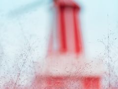 -羊亭河湿地公园