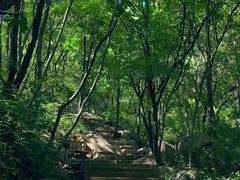 -大岭沟猕猴桃谷风景区