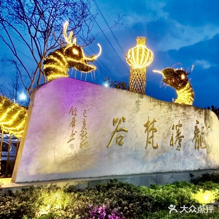 夜幕下的龙影-火锅城！