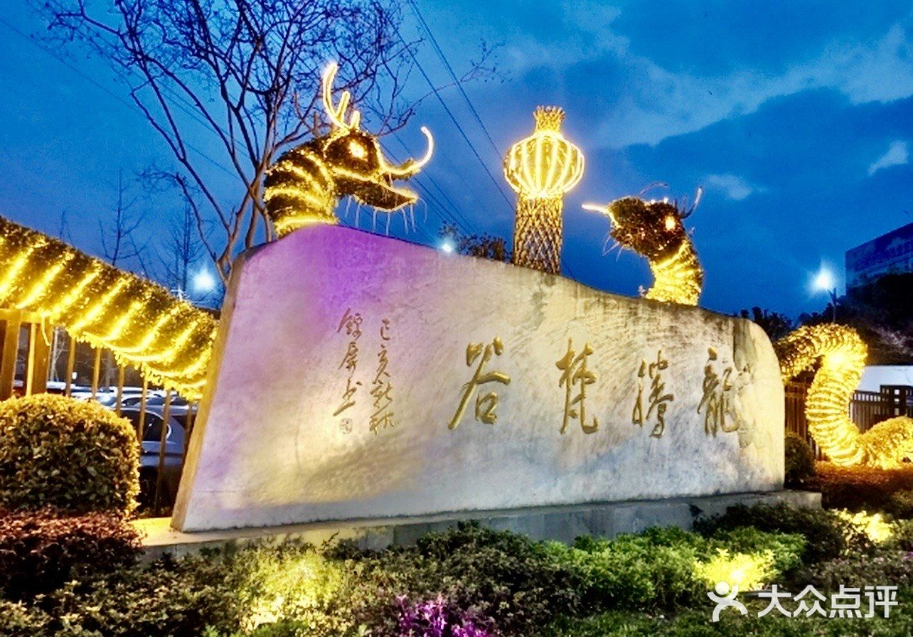 夜幕下的龙影-火锅城！