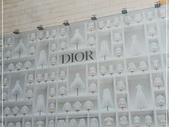 -DIOR迪奥(德基广场女装店)