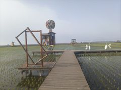 -红海滩国家风景廊道
