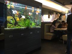 -大家乐(江门汇悦城店)