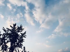 -新江湾城公园
