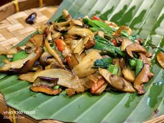 -云海肴·汽锅鸡·云南菜(天津国金汇店)