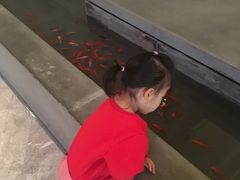 -天津东凯悦酒店·大堂吧