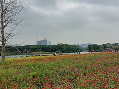 -海珠湖公园