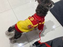 -1点点(东鼓道店)