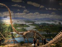 -自贡恐龙博物馆