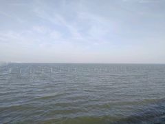 -碧海金沙