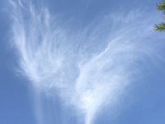 -张掖大佛寺景区