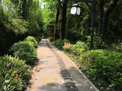 -成都市活水公园