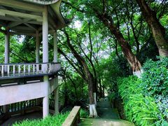 -重庆平顶山公园