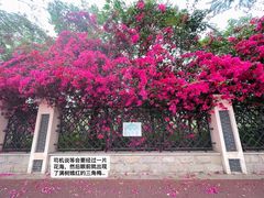 -广西民族博物馆