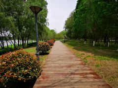 -长广溪湿地公园