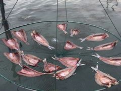 -朱鸿兴面馆(镇湖店)