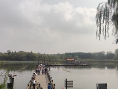 -溱湖国家湿地公园