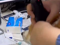 -瑞派·爱瑞可动物医院·口腔专科(广华新城分院)