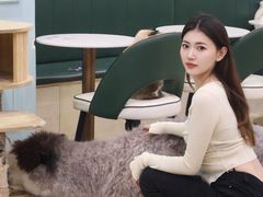 -安格丽娜·狗咖·猫咖羊驼咖(春熙路百盛商场店)