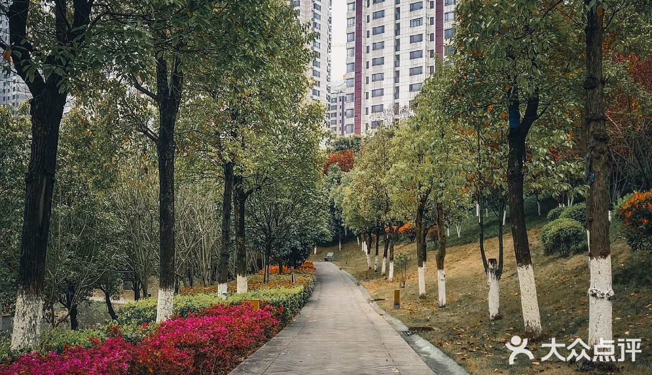 🌸春暖花开·游园怀旧，铭记历史