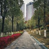 🌸春暖花开·游园怀旧，铭记历史