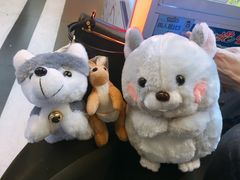 -PAWTOY爪e玩偶店(天兴罗斯福店)