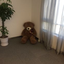 -莱恩·乐活概念专业皮肤管理连锁