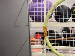 -乐刻健身铁馆(灯市口店)