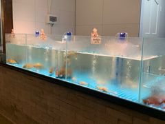 -好瑜筷桂鱼专门店(植物园店)