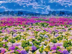 -歌斐颂巧克力小镇