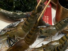 -琥珀川糟粕醋火锅(慈云寺店)