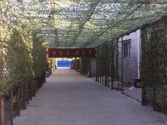 -亲兄弟真人CS团建拓展基地