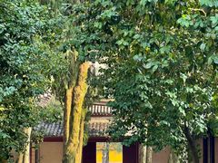 -阿育王寺