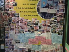 -猫咪博物馆(顶澳仔猫街店)