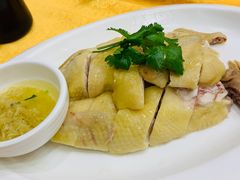 白切鸡-壹厨饭店(五羊店)