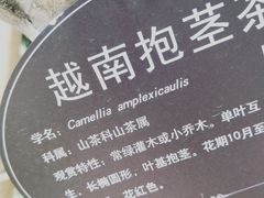 -金花茶公园
