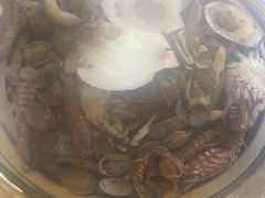 -港畔赶海蒸汽海鲜烧烤自助(仙螺岛店)