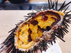 -悉尼鱼市场