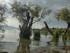 -捞渔河湿地公园