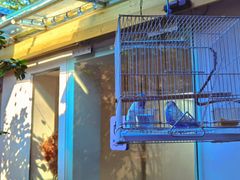 -汤厨(五道营店)