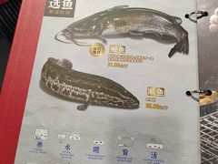 -鱼酷活鱼烤鱼(中联广场店)