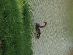 -艾溪湖湿地公园