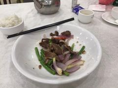 -姚林轩