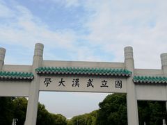 -武汉大学-樱园