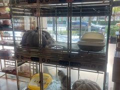 -转角宠物(转塘方家苑店)
